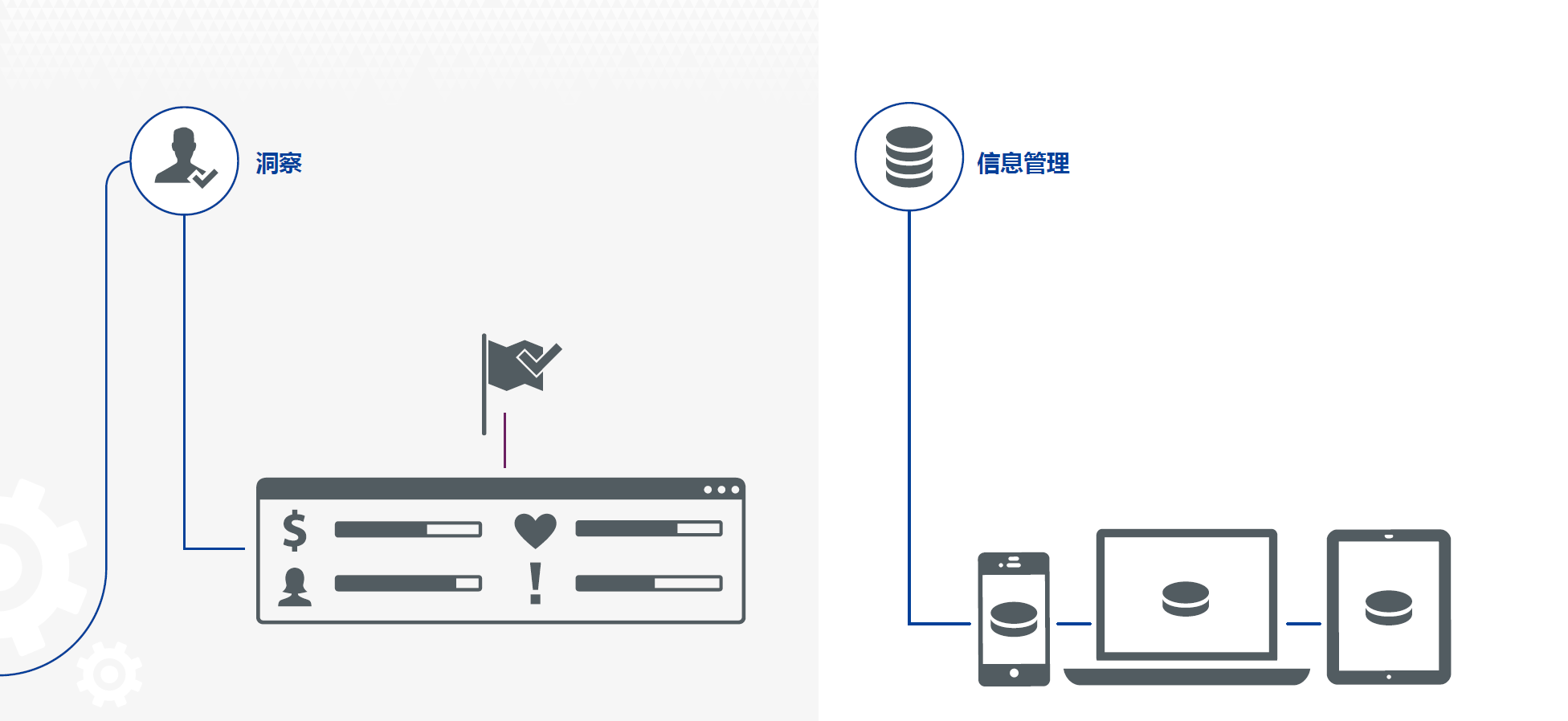 洞察、信息管理